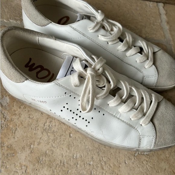 Sam Edelaman - Picture 2 of 4